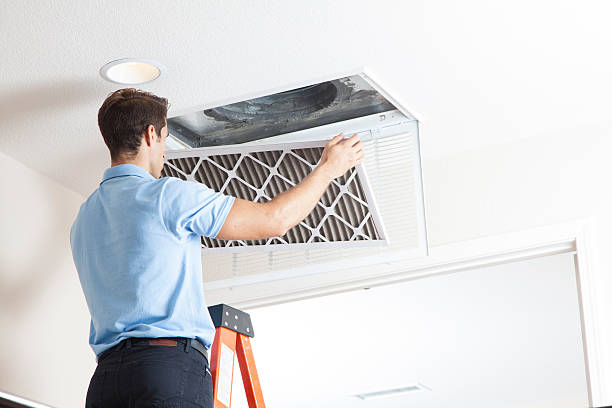 Best Air Quality Test  in Rendon, TX